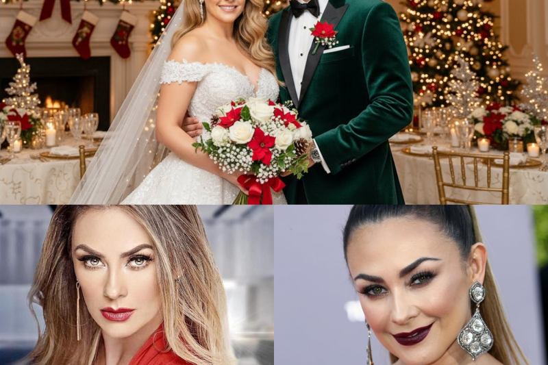 El renacer de Aracely Arámbula: La verdad sobre su boda secreta en Navidad
