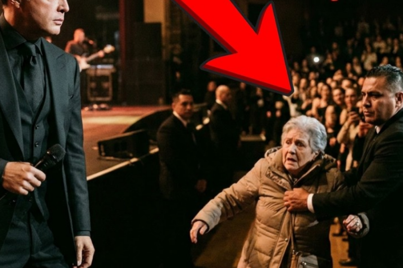 Luis Miguel DETUVO la Música Cuando un Guardia Empujó a una Fan Anciana