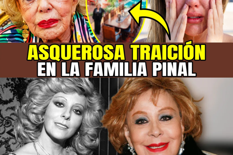La cara oculta de la dinastía Pinal: Tres generaciones de mujeres marcadas por la tragedia y el silencio