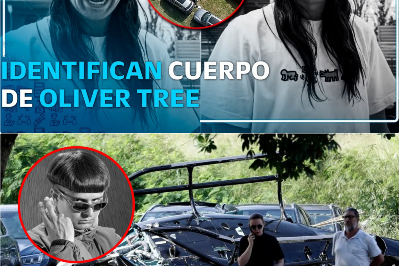 Tragedia en los Cielos de Río: Negligencias, Misterio y el Adiós Definitivo a Oliver Tree