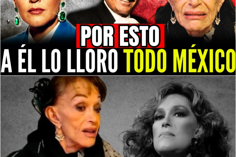 Lucha Villa: Por ESTO el Mundo Lloró a Vicente y a Ella la Dejó Caer en Silencio