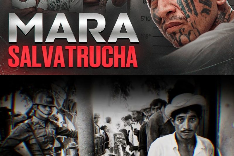 LOS REYES DEL CRIMEN DE EL SALVADOR – Mara Salvatrucha (MS 13)