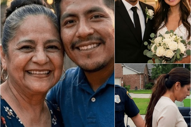 Vivía Con Una Suegra Monstruo Que La Humillaba — El Secreto Oculto En El Congelador