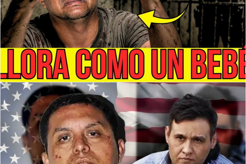 Así Vive el Z-40 en La Cárcel: Llora, Pasa Hambre y Suplica al Juez Libertad