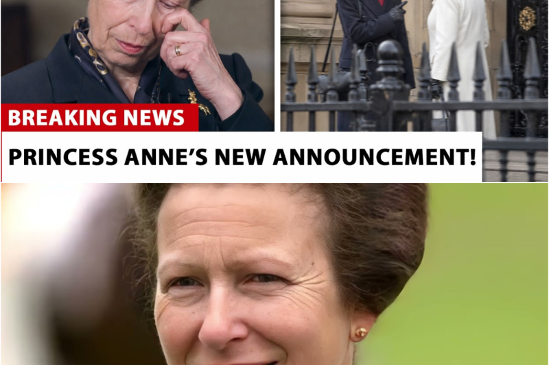 La gran encrucijada de la Princesa Ana: Secretos, tensiones con Camila y la reunión oculta que estremece los cimientos de la Corona británica