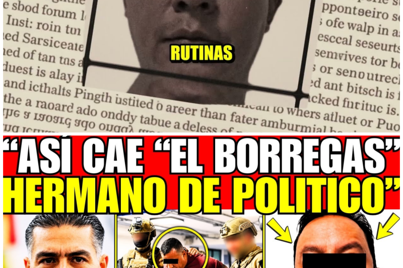 ¡HARFUCH CAPTURA a “BORREGAS” DESPOJADOR y HERMANO de POLITICO PRÓFUGO!