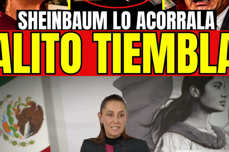 El Vuelo de la Soberanía: La Verdad Oculta Detrás de la Cancelación de Texcoco y el Milagro Arquitectónico que Humilló a las Élites Financieras