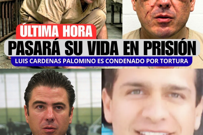 La Caída de Cárdenas Palomino: De Intocable Brazo Derecho de García Luna a Compartir Prisión con su Propia Víctima