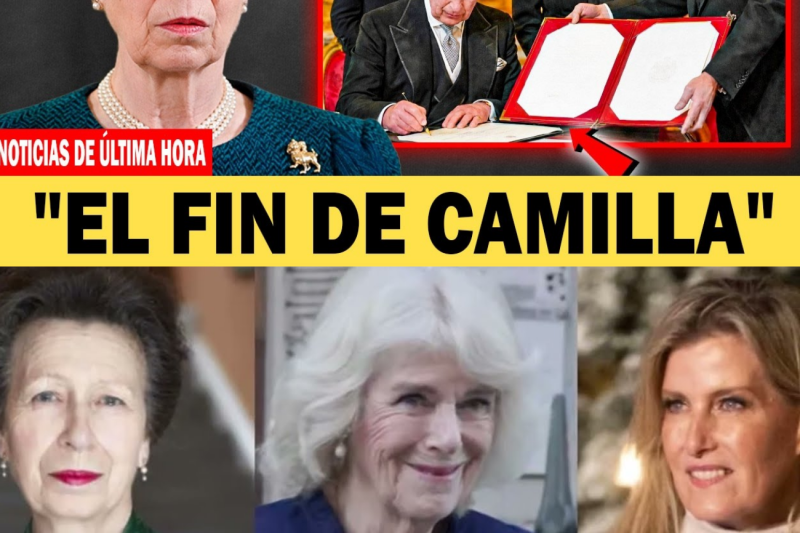 El rey Carlos firma una orden real que otorga a la princesa Ana el título de Princesa Real Regente.