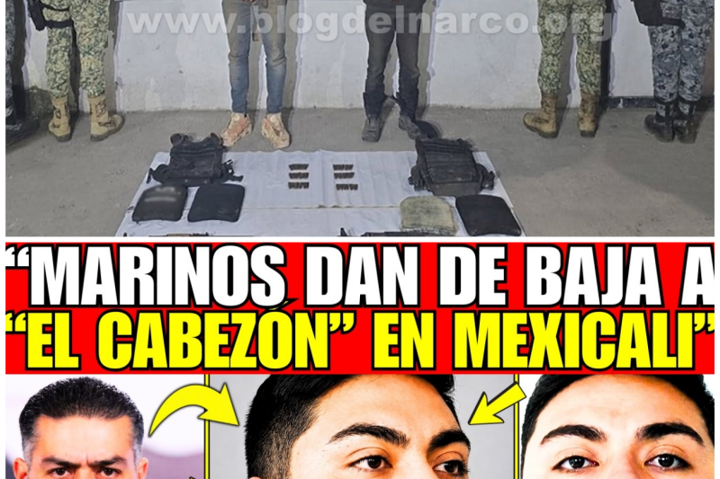 ¡HARFUCH Y MARINA REVIENTAN a “EL CABEZÓN” LÍDER de los RUSOS en MEXICALI; CAE en su JEEP!