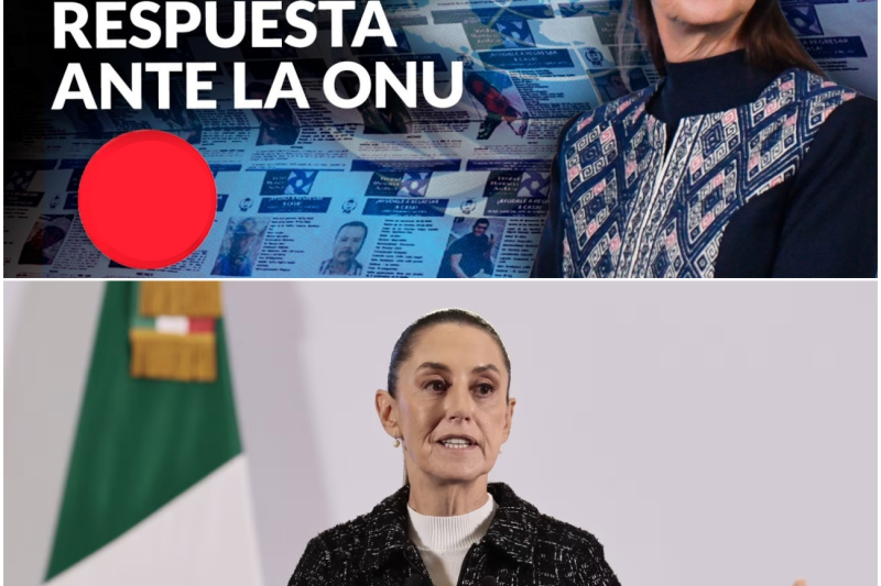 Desapariciones en México Llegan a la Asamblea General de la ONU: El Histórico Llamado de Auxilio que Estremece a un País Dividido