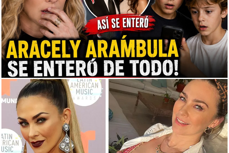 La Verdad Detrás de los Reflectores: El Impactante Descubrimiento de los Hijos de Luis Miguel y Aracely Arámbula en Redes Sociales