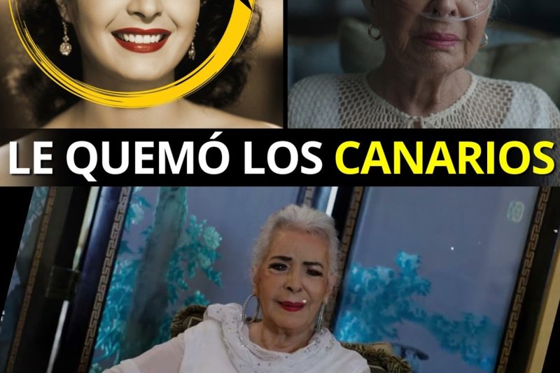 ELSA AGUIRRE: Por ESTO su ESPOSO le QUEMÓ los CANARIOS VIVOS y su HIJO MURIÓ a los 30 años tl