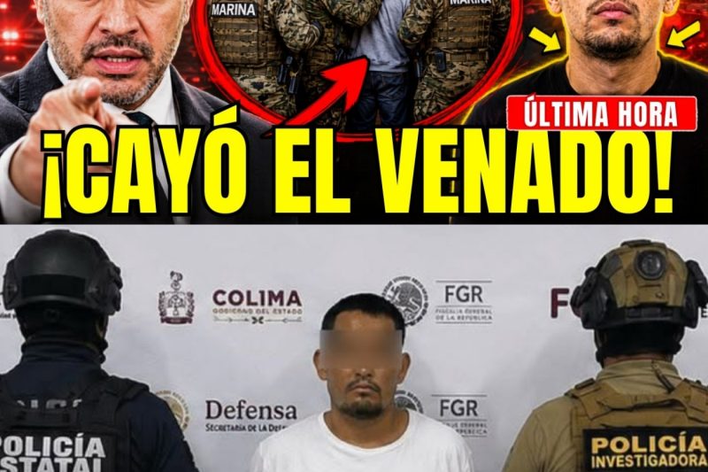 CAE “EL CHUY RONAS” ALIAS “EL VENADO”: EL HOMBRE DE LOS MEZCALES QUE HARFUCH CAZÓ EN COLIMA.