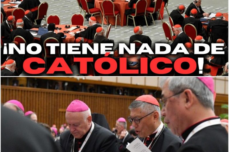 «¡ESTO ES ANTICATÓLICO!» ¡Obispos y fieles se enfrentan al SÍNODO!