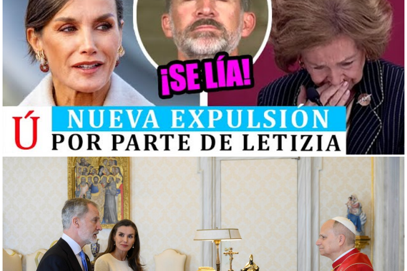 🔴¡Terremoto en Zarzuela! La Reina Sofía rompe con el Rey Felipe VI tras una monumental bronca originada por celos institucionales