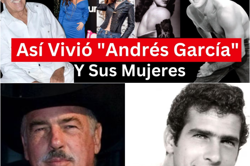 El Ocaso del León: Pasiones, Traiciones Familiares y la Disputa Millonaria en la Recta Final de Andrés García
