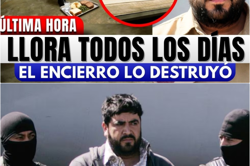 El Mochomo: Así Vive Alfredo Beltrán Leyva en la Cárcel Más Temida del Mundo