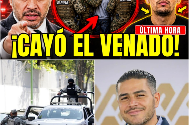 La Marina caza a “El Venado” en Colima: El operativo maestro que destapa una letal alianza por el Pacífico