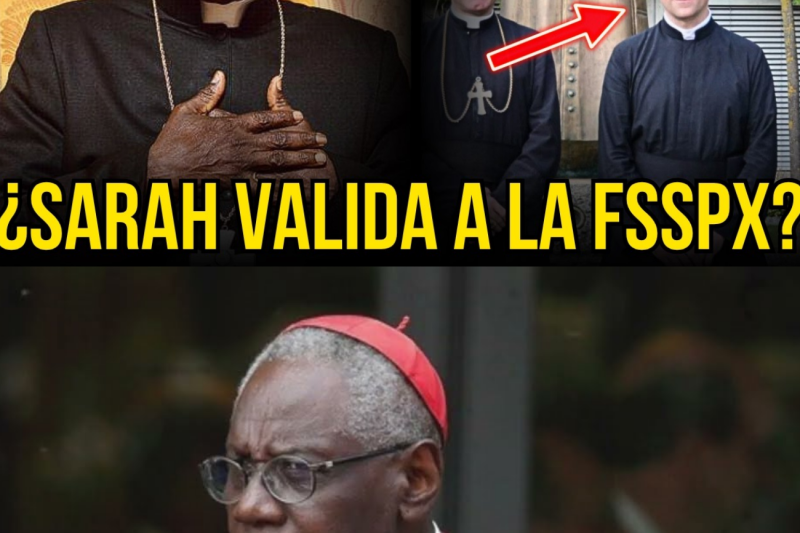 La paradoja de Sarah el cardenal que quiso frenar a los tradicionalistas pero termino validando su mayor denuncia contra el Vaticano