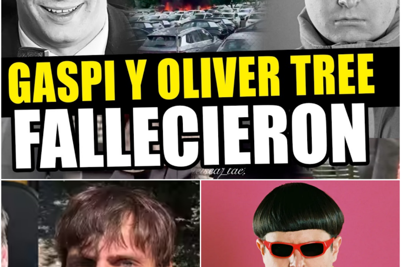 Tragedia Aérea en Río de Janeiro: El Catastrófico Choque de Helicópteros que Arrebató la Vida de Oliver Tree y el Youtuber Argentino “Gaspi”