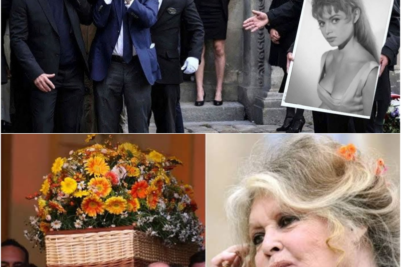 El dolor detrás del mito: Bernard Dormal rompe el silencio tras el funeral de Brigitte Bardot y estremece al mundo con sus cartas secretas