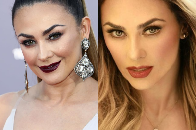 ARACELY ARÁMBULA: La Frase Que Dijo Ya De Mayor Que Explica Por Qué Acabó Tan Sola