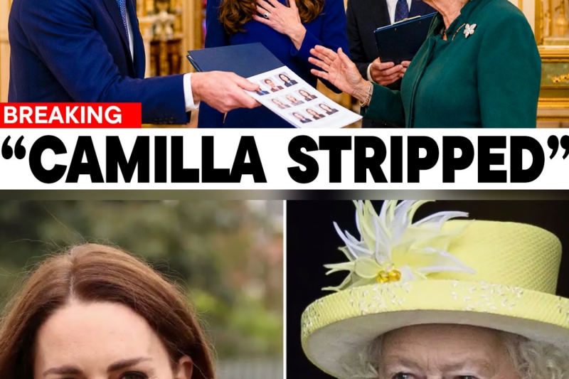 William y Catherine cierran las puertas de Kensington a las influencias de Camila con una orden que redefine el poder en la monarquía