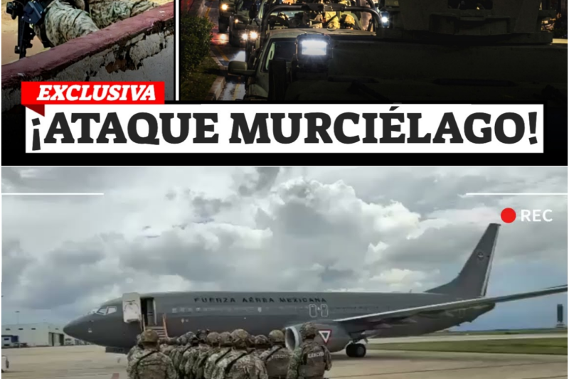 Operativo Murciélago y el Jaque Mate al Crimen: La Noche en que las Fuerzas Especiales Sacudieron a México