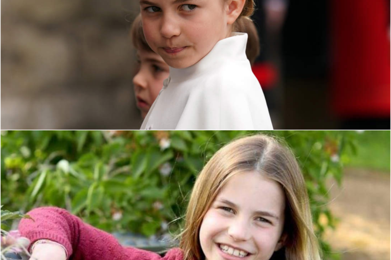 ¡La princesa Charlotte abordó disfrazada y la azafata dejó a Inglaterra en shock!