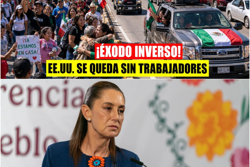 El éxodo inverso: Millones de mexicanos abandonan Estados Unidos y paralizan los sectores clave de su economía