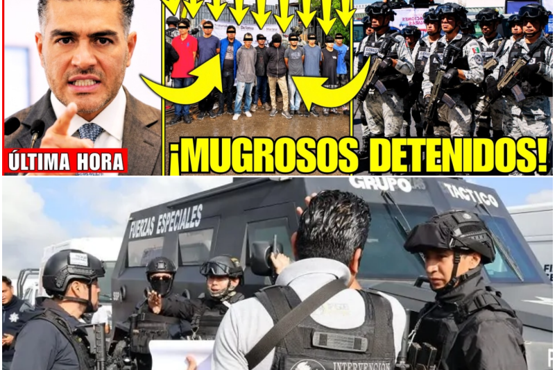 El Golpe Maestro de Harfuch: La Verdad Oculta y el Misterio de la Libreta Escolar en la Caída de “Los Abasolos”