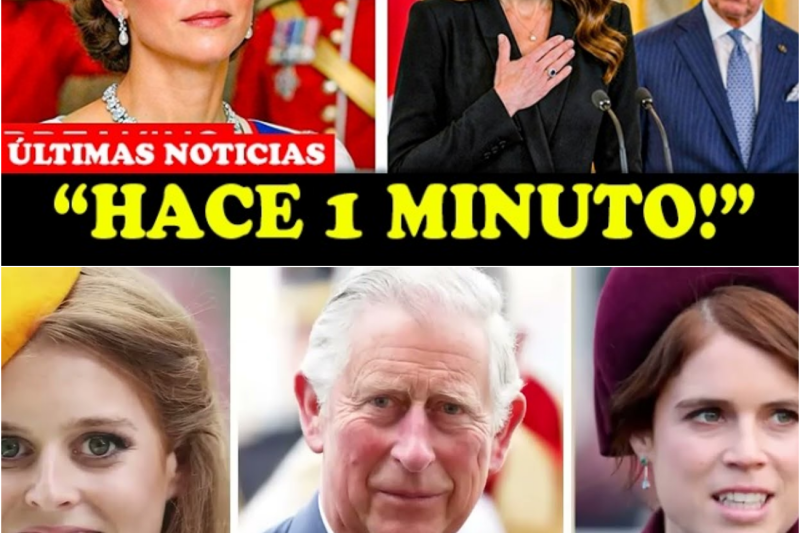 El desafío de Catalina: La reunión secreta en Kensington que rescata el legado humanitario de Diana de Gales y transforma la corona