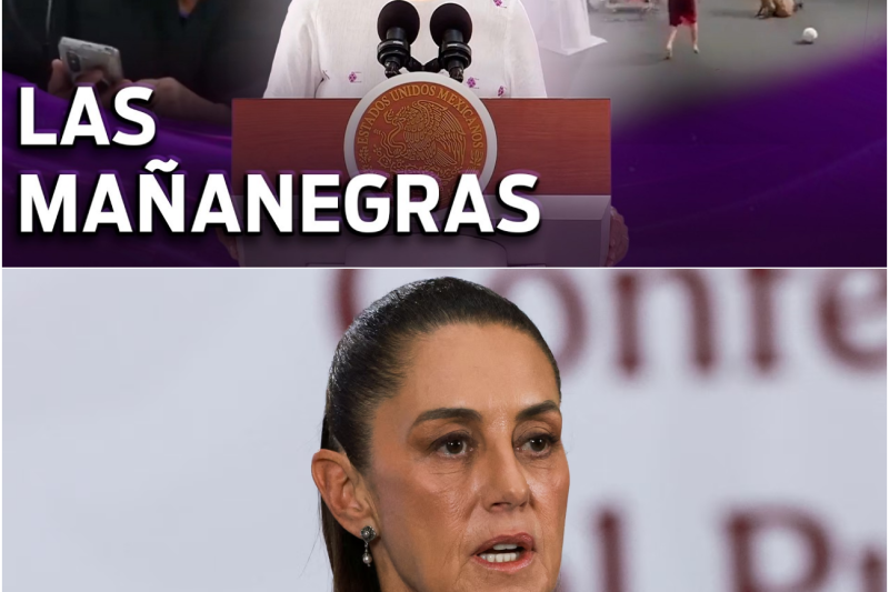 La Polémica del Hospital: Entre el Espejismo de las “Fake News” y la Realidad del Sistema de Salud Mexicano