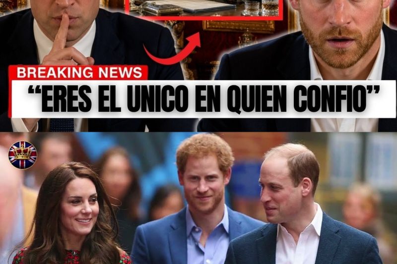 ¡BOMBA REAL! William le da a Harry acceso a los archivos más clasificados del Rey tl