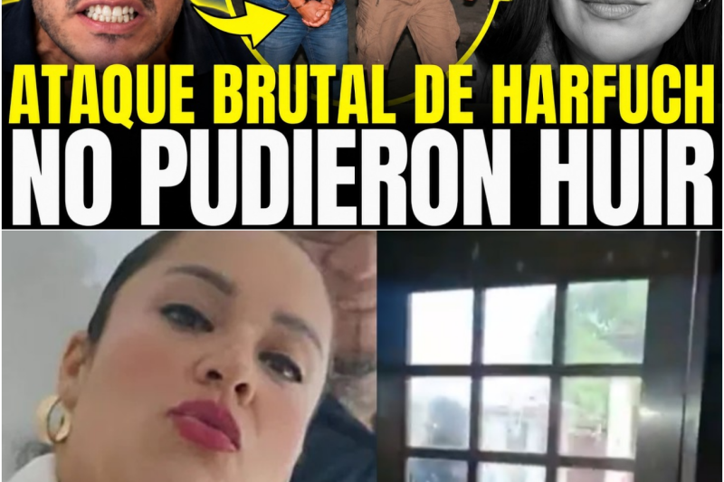 ¿Eficacia relámpago o respuesta bajo presión? Las incógnitas de la investigación tras la captura de seis presuntos implicados en el secuestro de la periodista Roxana Guzmán en Veracruz
