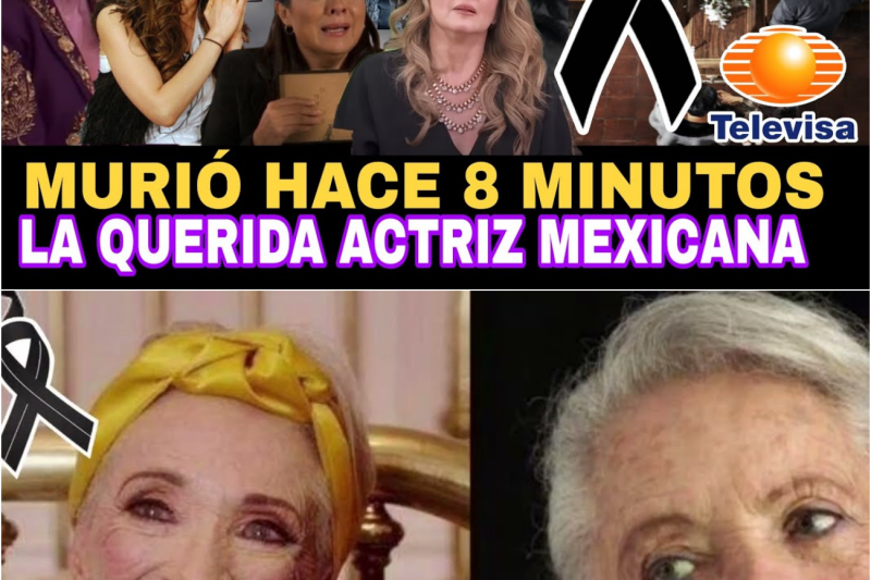 El Luto de una Leyenda y el Despertar de un Alma: La Trágica Partida de Tara Parra y la Impactante Verdad de Yadhira Carrillo
