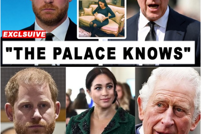 El Palacio de Buckingham rompe el silencio ante el escándalo de maternidad subrogada de Meghan Markle y la crisis de sucesión real