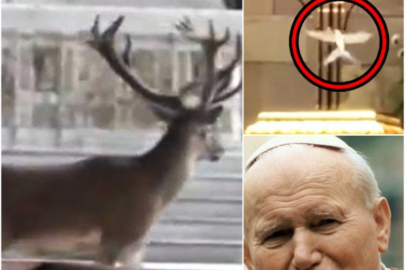 These Eucharistic Miracles Left Scientists Speechless!