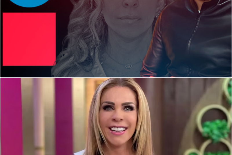 La Guerra por los Derechos: Los Dos Delitos Penales contra Andrés Tovar, el Vínculo con Rocío Sánchez Azuara y el Escándalo que Sacude a la Televisión