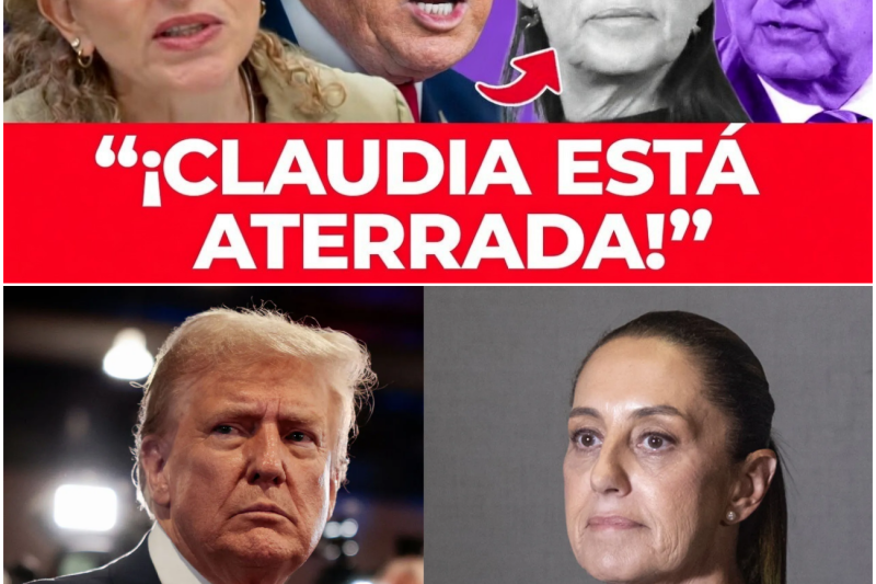 El Lenguaje Corporal No Miente: La Tensa Reacción de Claudia Sheinbaum Ante los Ataques del Presidente Trump