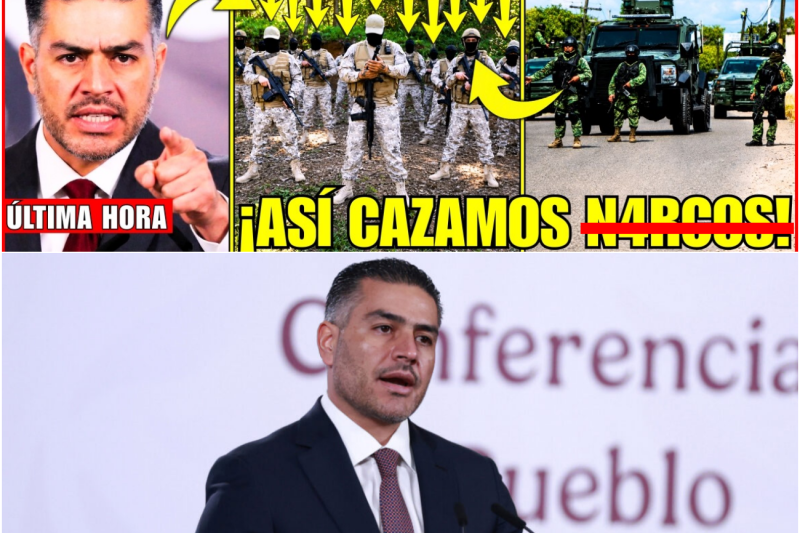 ¡Emboscada M0r4al en Los Cabos! El Mega Toponazo Que Desató La Ira de Harfuch y Reveló Una Guerra Oculta