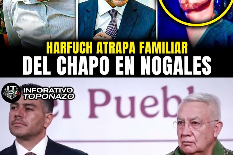 HARFUCH CAZA al FAMILIAR de EL CHAPO en NOGALES: Operativo Militar en Sonora tl