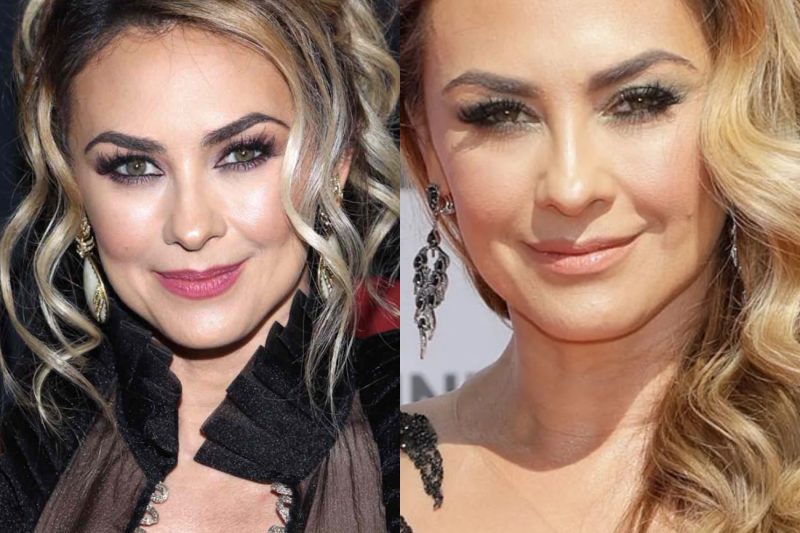 Aracely Arámbula: las 5 ASQUEROSAS traiciones. El secreto que DESTROZÓ su vida…