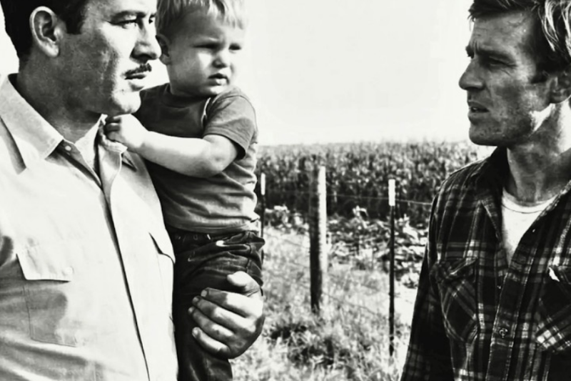 Pedro Infante supo que su equipo destruyó el campo de un joven granjero; lo que hizo fue puro Pedro