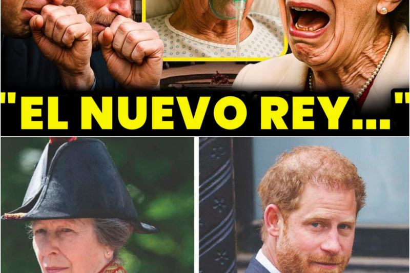 La princesa Ana revela el último deseo del rey y el príncipe William y Harry quedan atónitos.