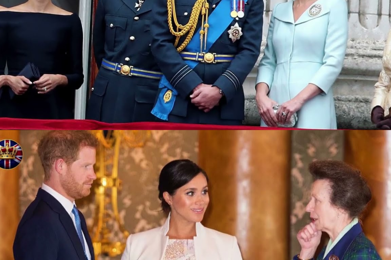 ¡DEVASTADOR! Anne le cuenta a Harry lo que Charles dijo la última noche: “ME EQUIVOQUÉ CON ÉL”