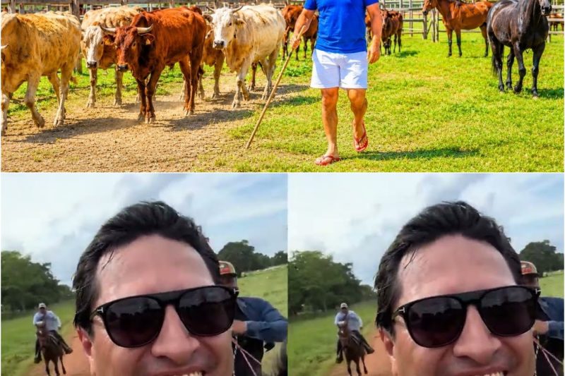 El imperio ranchero de Julión Álvarez en Chiapas— riqueza, poder y una vida lejos de la televisión!