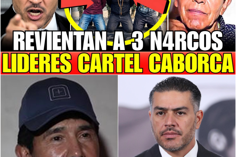 El Cártel de Caborca irrumpe en el Estado de México: La cacería implacable del heredero de Caro Quintero