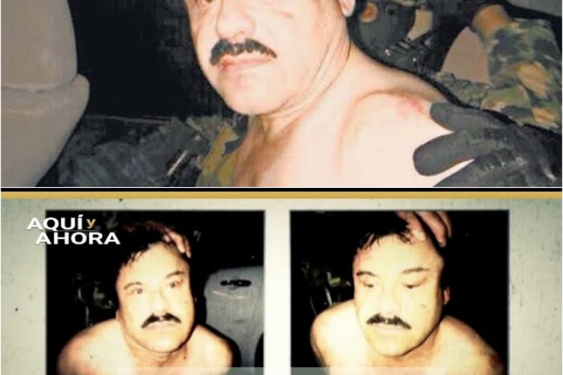 El día que “El Chapo” casi muere en un tráiler: La oscura revelación detrás de su cirugía clandestina